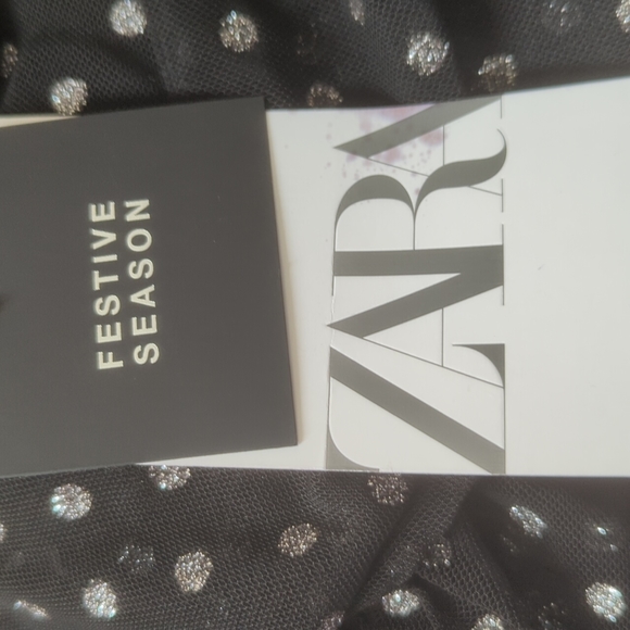 Zara Tulle Silver Dot Swiss Dress - Picture 16 of 16